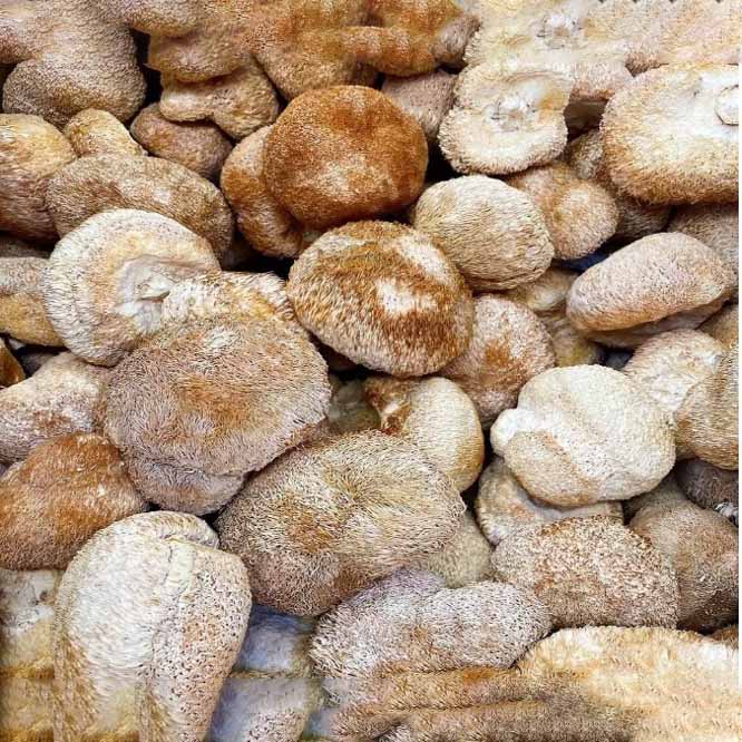 Dried Lion’s Mane Mushroom